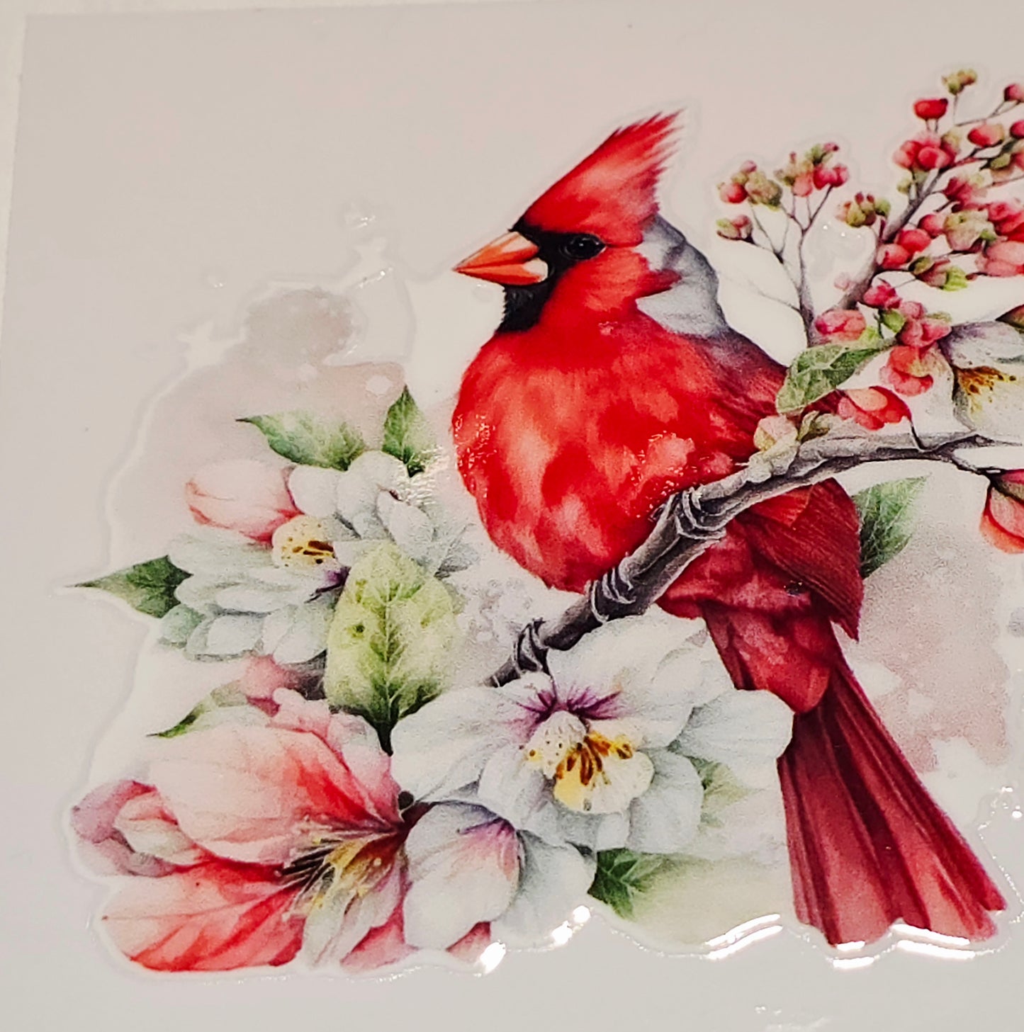 M29 medium Cardinals uvdtf