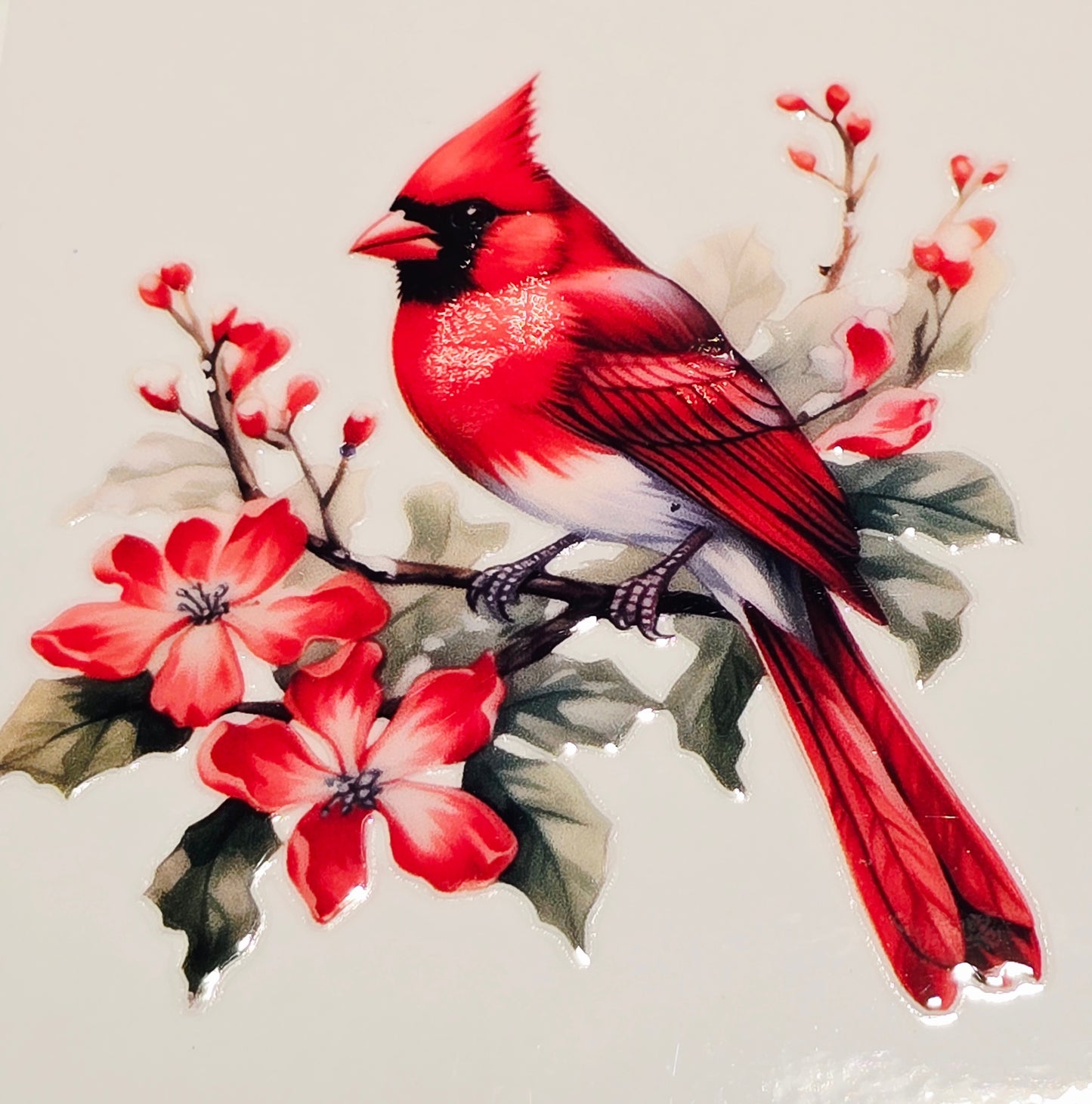 M29 medium Cardinals uvdtf