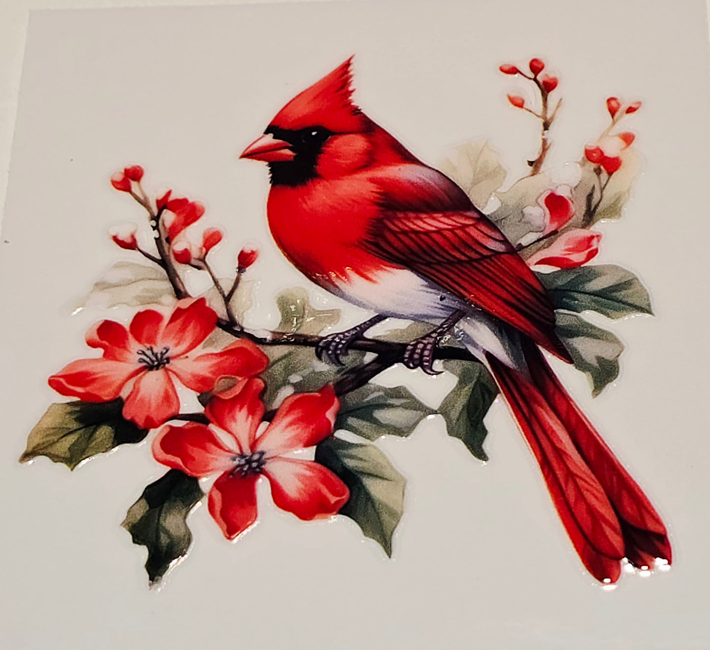 M29 medium Cardinals uvdtf