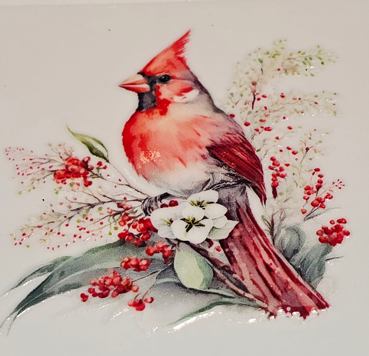 M29 medium Cardinals uvdtf
