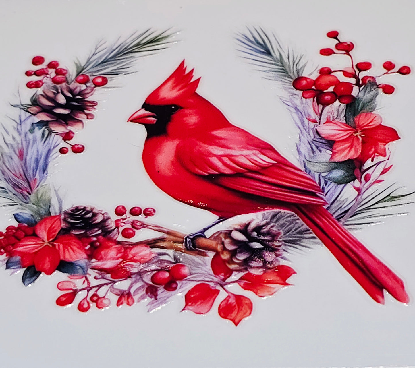 M29 medium Cardinals uvdtf
