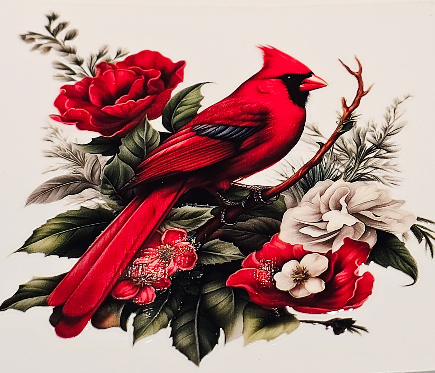 M29 medium Cardinals uvdtf