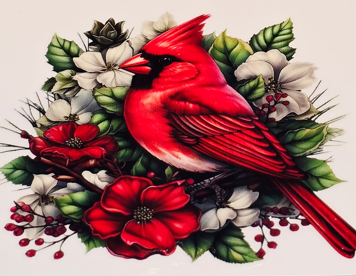 M29 medium Cardinals uvdtf