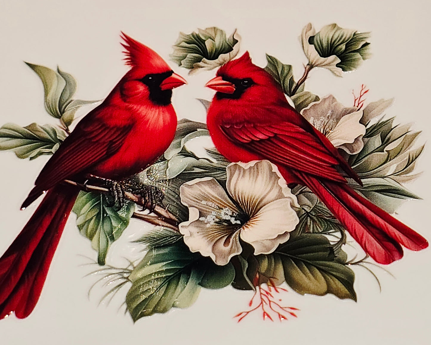 M29 medium Cardinals uvdtf