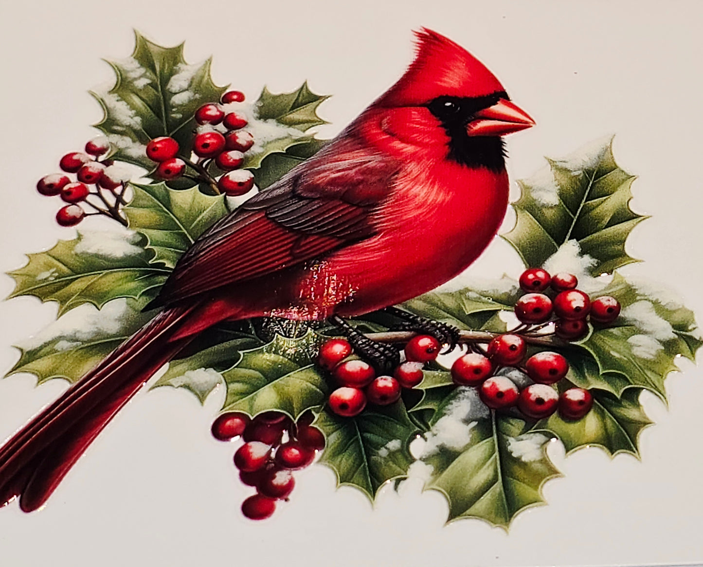 M29 medium Cardinals uvdtf