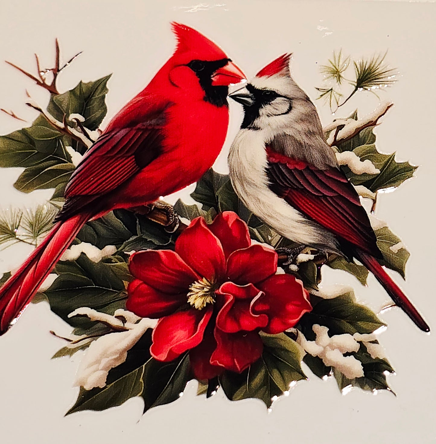 M29 medium Cardinals uvdtf