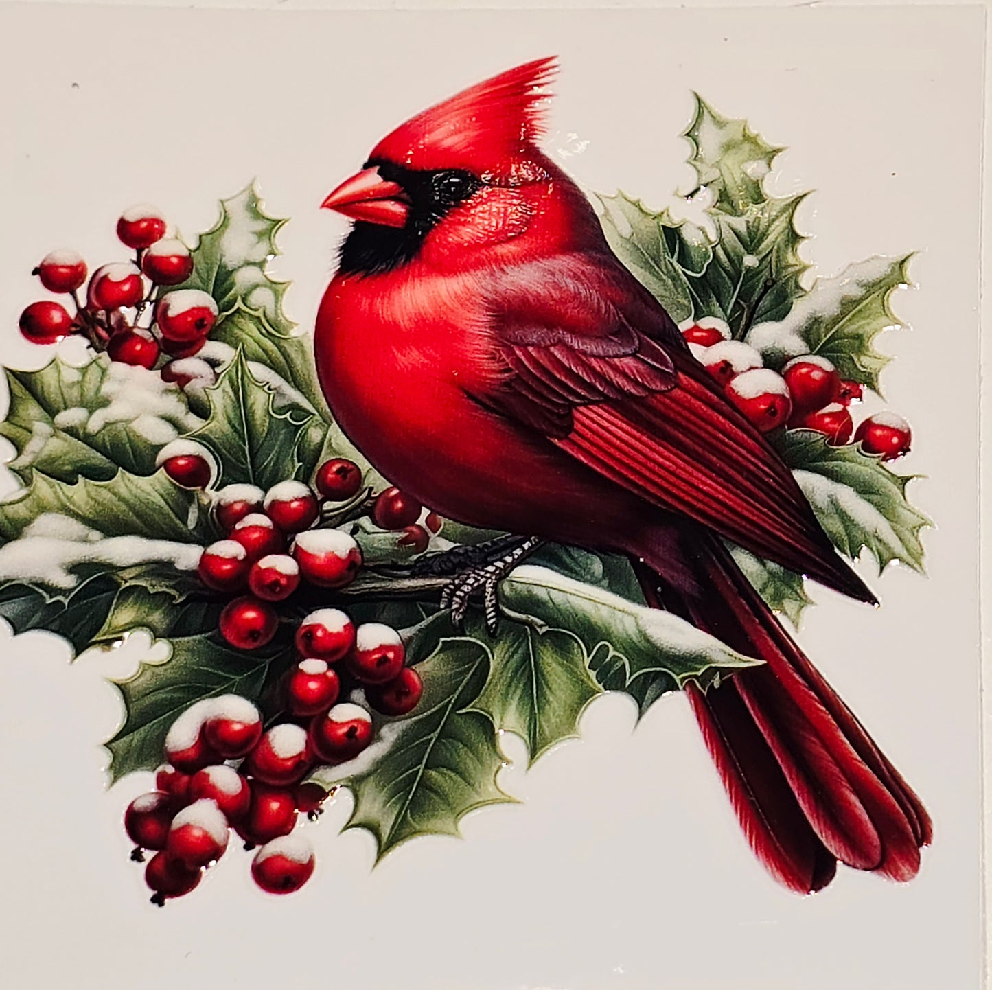 M29 medium Cardinals uvdtf