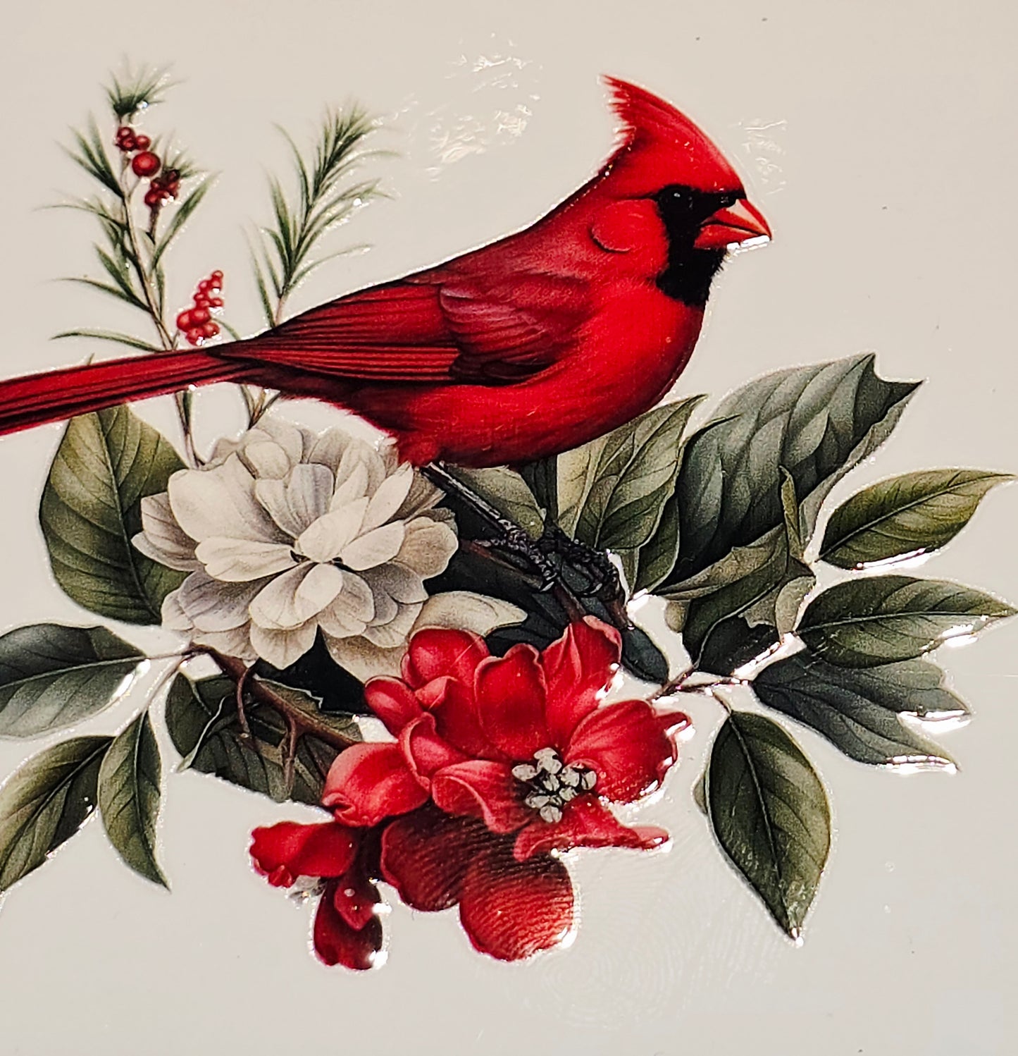 M29 medium Cardinals uvdtf