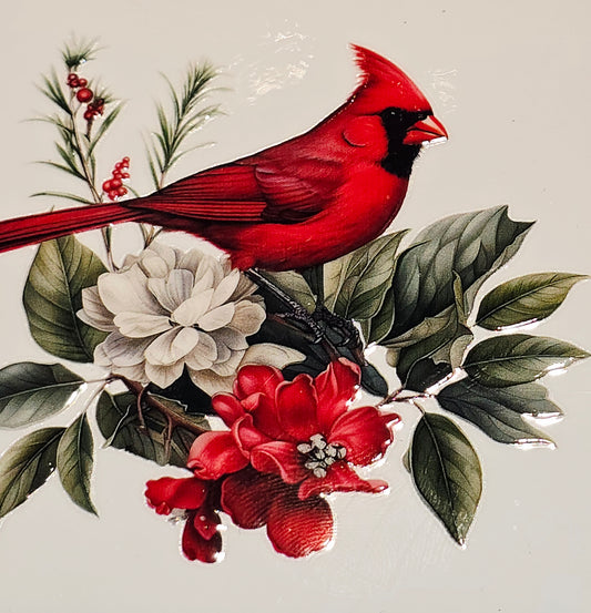 M29 medium Cardinals uvdtf