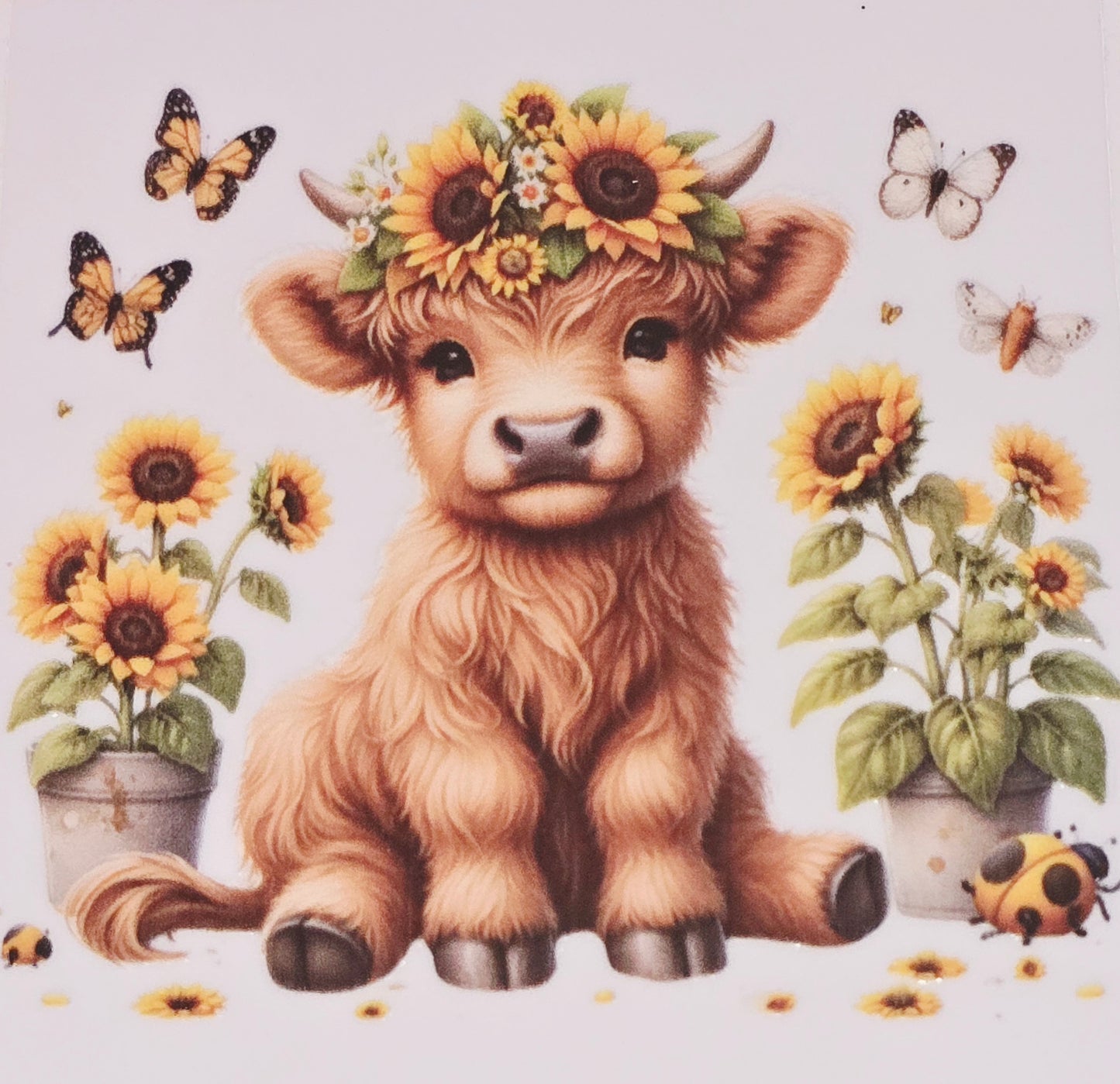 M23 Sunflower fluffy cow medium clear UV DTF decal