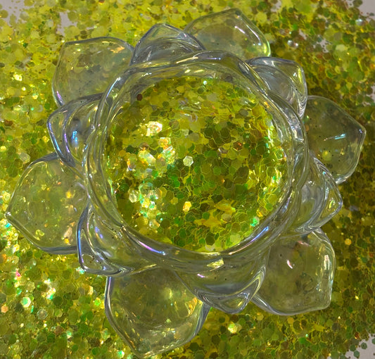 Dragons Eye chameleon, Chunky