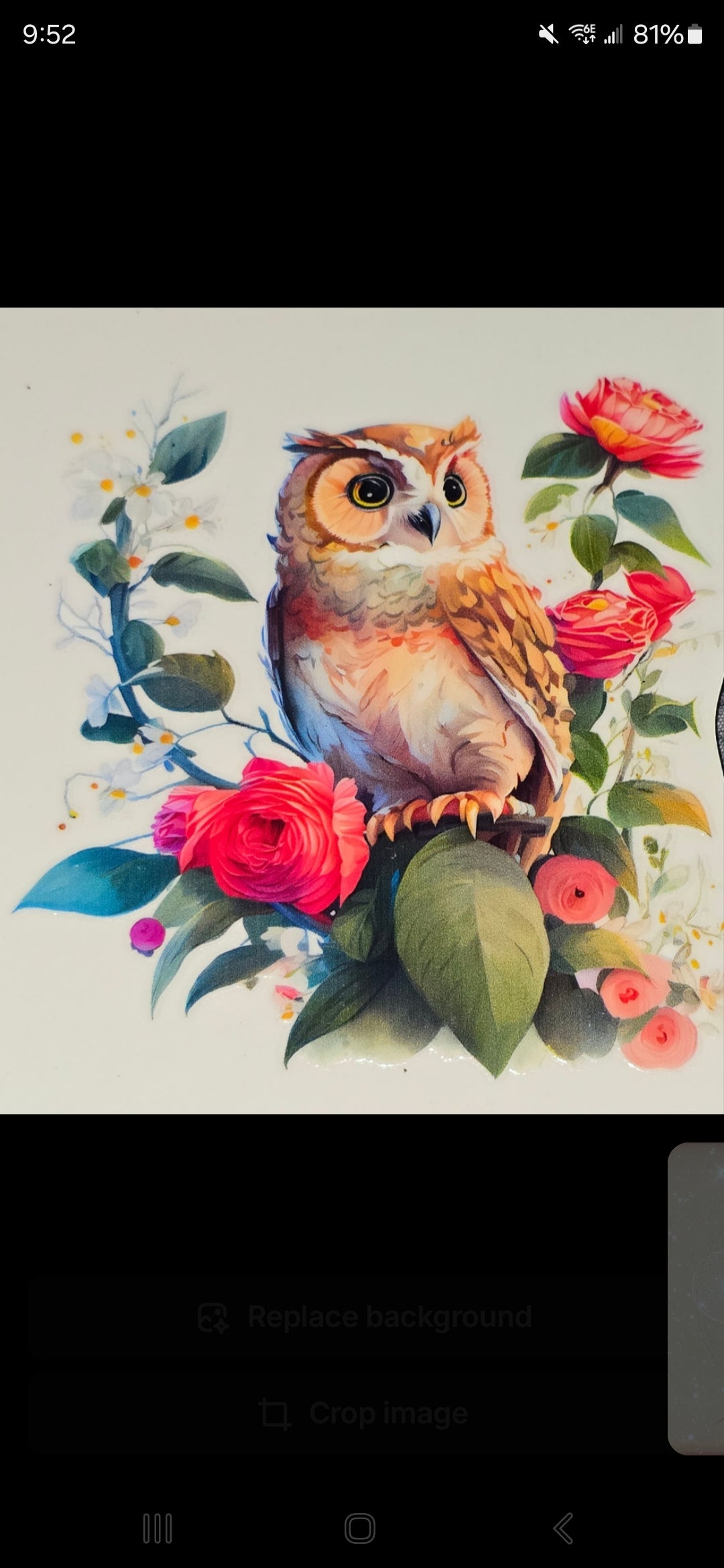 Owls medium clear UV DTF